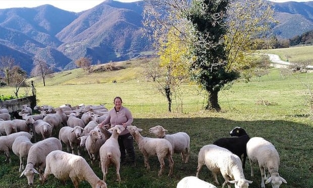 Trường học dạy phụ nữ chăn cừu